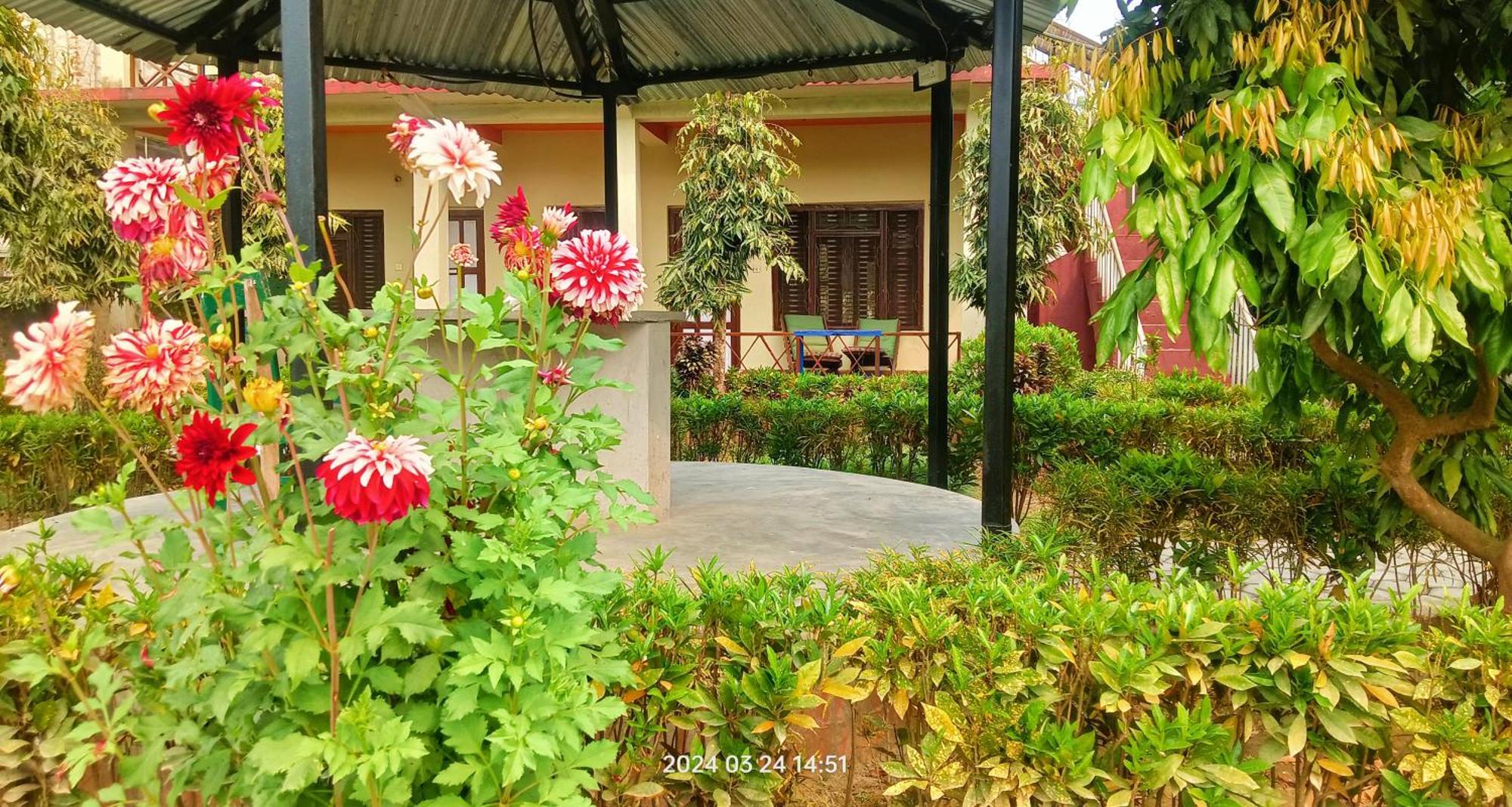Hotel Butterfly - Peaceful Garden For Nature Lovers Саураха Екстериор снимка