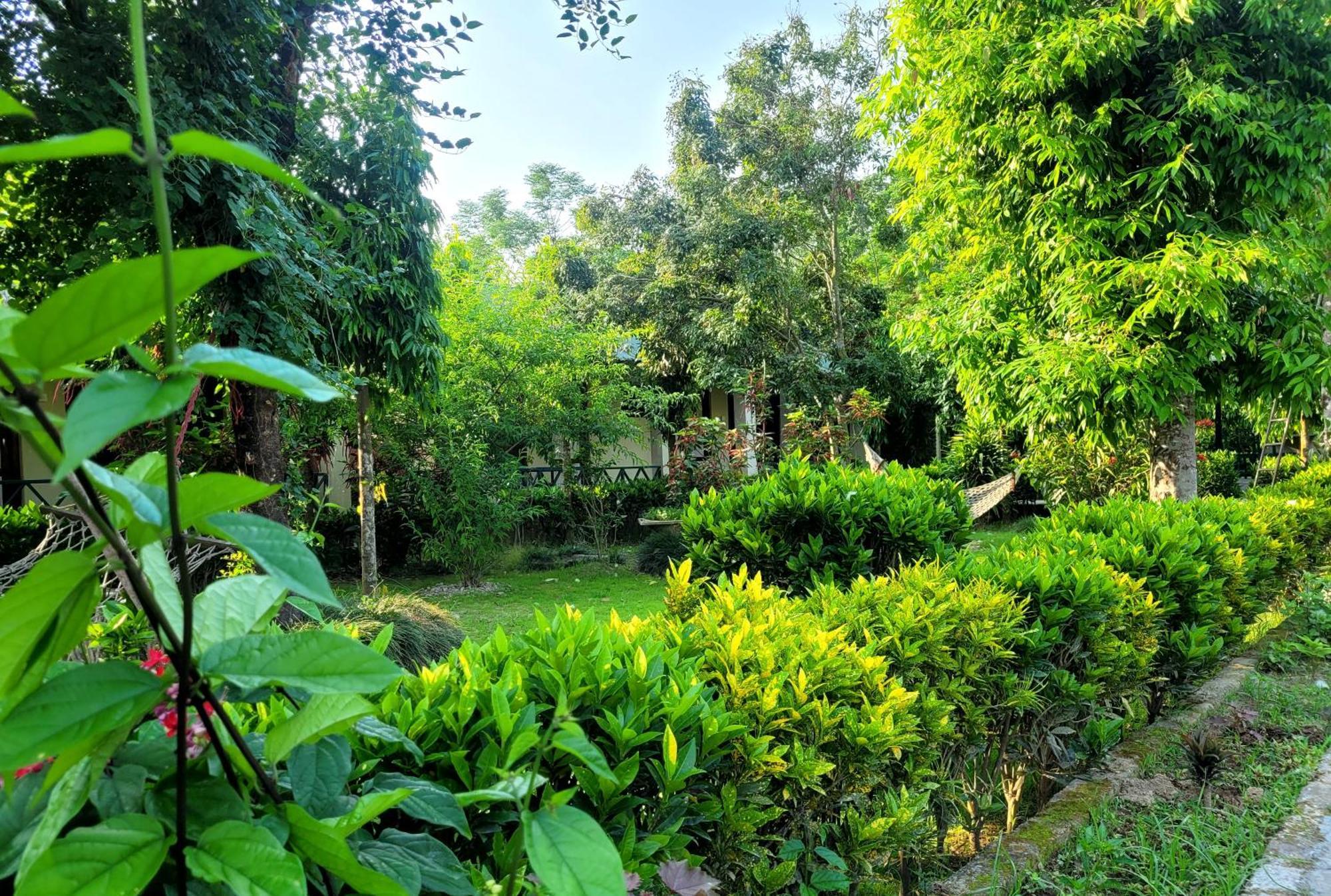 Hotel Butterfly - Peaceful Garden For Nature Lovers Саураха Екстериор снимка